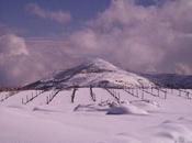 1368 Pago Cerro Monjas 2002 (Barranco Oscuro Vino Natural Alpujarra granadina)