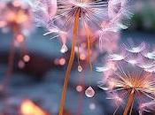 5.606- cielo azul...