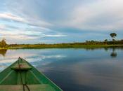 Amazonas: Descubre este Impresionante Tesoro Biosfera