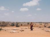 Comité Emergencia activa ante crisis hambre precedentes