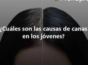 Cuáles causas canas jóvenes