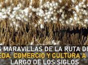 maravillas ruta seda: comercio cultura largo siglos