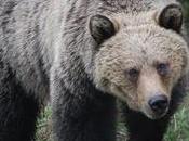 rutas ciclismo hacer Asturias
