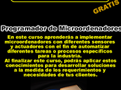 Programador Microordenadores