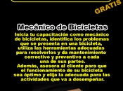 Mecánico Bicicletas