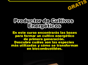 Productor Cultivos Energéticos