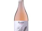 Blaneo Rosé 2022