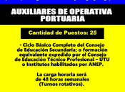 Auxiliares operativa portuaria