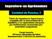 Ingeniero-as Agrónomos(Montevideo)