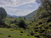 Esto carretera. camino.