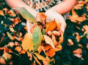 Colores otoño jardín: consejos para crear paraíso hojas caídas