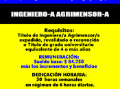 Ingeniero-a agrimensor-a