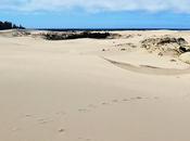 caminatas favoritas área recreativa nacional dunas Oregon