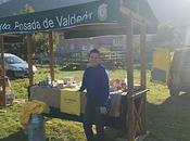 Feria reina