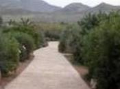 flora almeriense