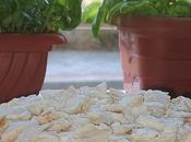 Postre chaja merengue chantilly