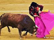 ¿Por toros?