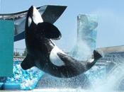 Zagalandia abrirá puertas Barbastro