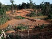 sucio Amazonia