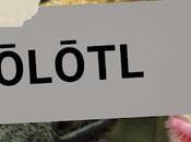 Reto: Āxōlōtl