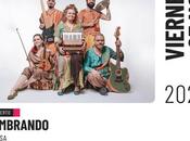 Ajimsa agenda estreno nuevo videoclip Puerto Varas