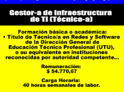 Gestor-a Infraestructura (Técnico-a)