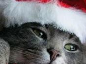 Feliz Navidad