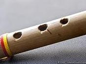 flauta caña Luis Ramoneda
