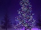 Canto navidad