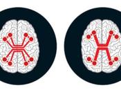 límites cerebro: podemos inteligentes