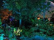 Nueva área temática Moana EPCOT