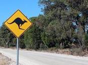 importancia contratar seguro viaje para viajar Australia