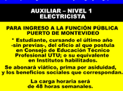 Auxiliar nivel electricista