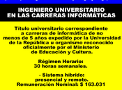 Ingeniero universitario carreras informáticas
