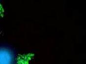 ¿Cómo escapa antivirales?