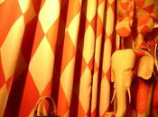 circo moda