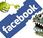 Nuevo virus ataca Facebook
