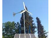 Cursos Energías Renovables: Eólica, fotovoltaica, térmica biomasa