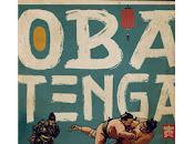 Tenga perro parte atrás coche