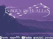 Rumanía Chile: Conoce nueva banda Bosque Hualles