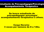 Estudiante Psicopedagogía-Psicología-Acompañamiento Terapéutico afines