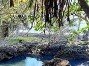 Costa rica: parque nacional cahuita costa caribeña