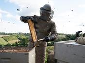 beekeeper; protector: Protección Mamporros