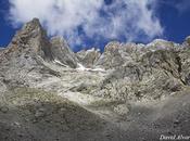 Parque Picos Europa timo tocomocho