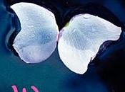 Reseña: Wings (Alas)