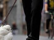 Pitas, pitas, pitas,…