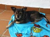 Espe, pierde esperanza