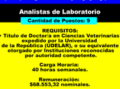 Analistas Laboratorio