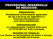 Profesional desarrollo negocios