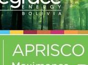 Aprisco Energy Industries Maximance 2030 BlueGrace Bolivia para Iniciativas REDD+